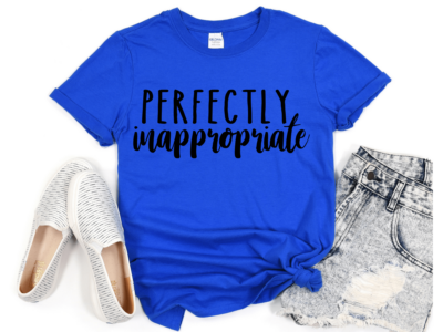 Perfectly Inappropriate - Grey Women's T-Shirt